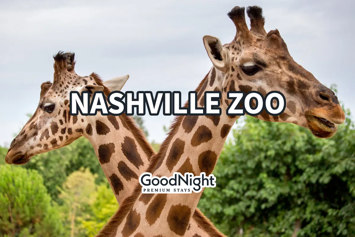 This image captures two giraffes standing amidst lush greenery at the Nashville Zoo, with vibrant foliage providing a natural, inviting backdrop. It evokes the excitement and joy of family outings and animal encounters, perfect for groups and children.